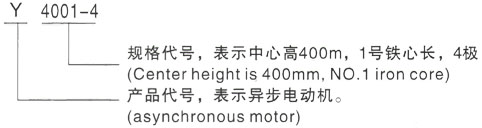 西安泰富西玛Y系列(H355-1000)高压青阳三相异步电机型号说明